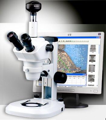 Digital Stereo Microscope