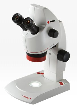Sigital Stereo Microscope