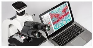 Microscope Camera