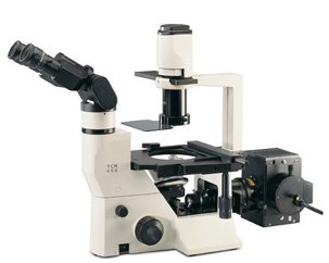 Labomed Inverted Microscope TCM400