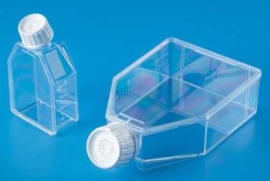 Tissue Culture Flask