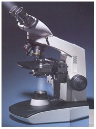 VISION 2000