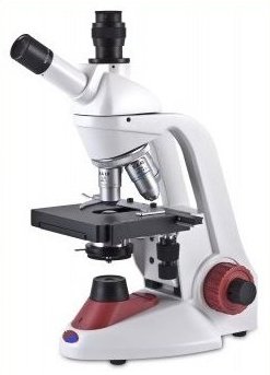 Digital Microscope