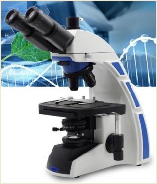 Vision Microscope